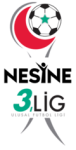 3. Lig - Group 4 logo