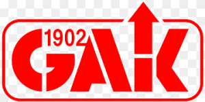 Landesliga - Steiermark (Avusturya) logo