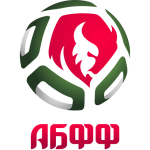 Belarus Kupası logo
